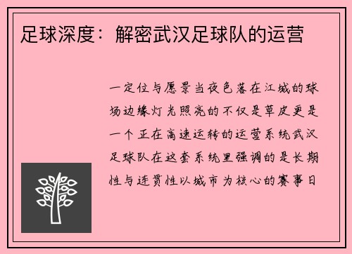足球深度：解密武汉足球队的运营
